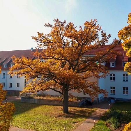 Parkresidenz Lychen, Ferienwohnung 8 Bagian luar foto