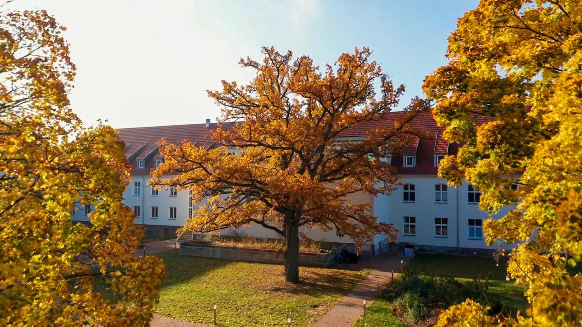 Parkresidenz Lychen, Ferienwohnung 8 Bagian luar foto